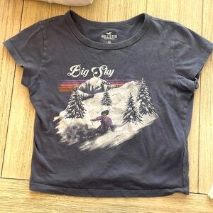 Hollister big sky crop shirt